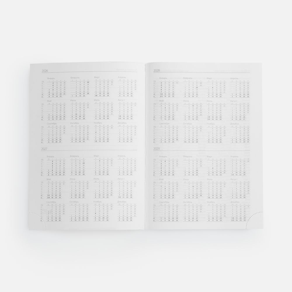 Ежедневник Favor Metal, недатированный, голубой-4