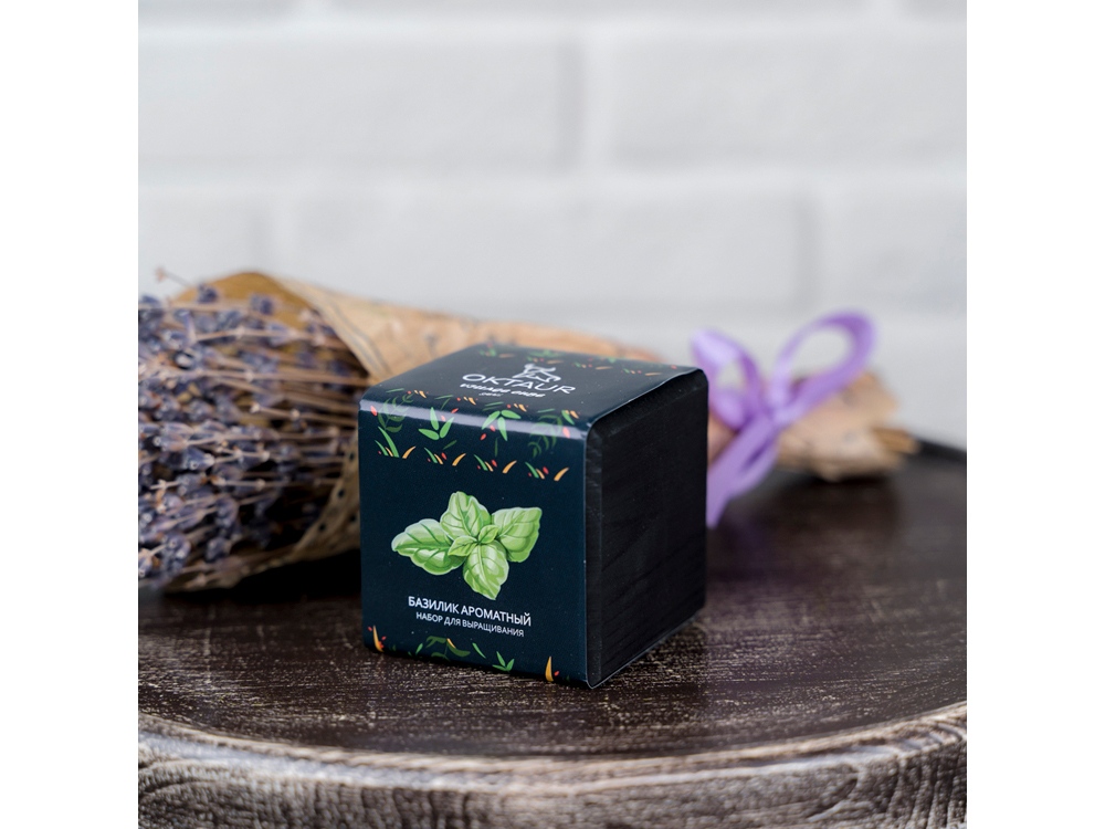 Набор для выращивания Small village cube Базилик ароматный-2