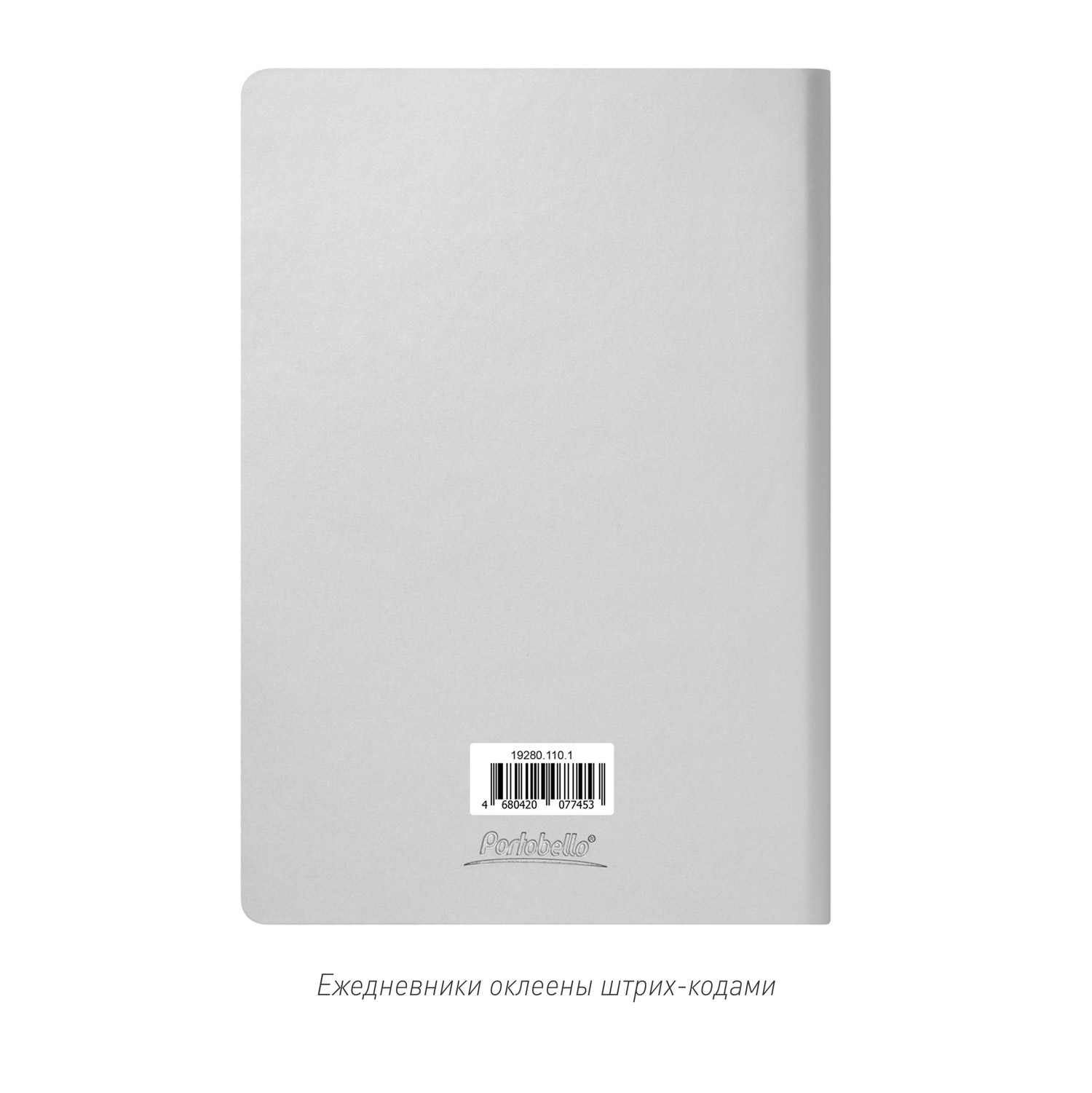 Ежедневник Спарк (Spark) недатированный, серебряный (без упаковки, без стикера)-9