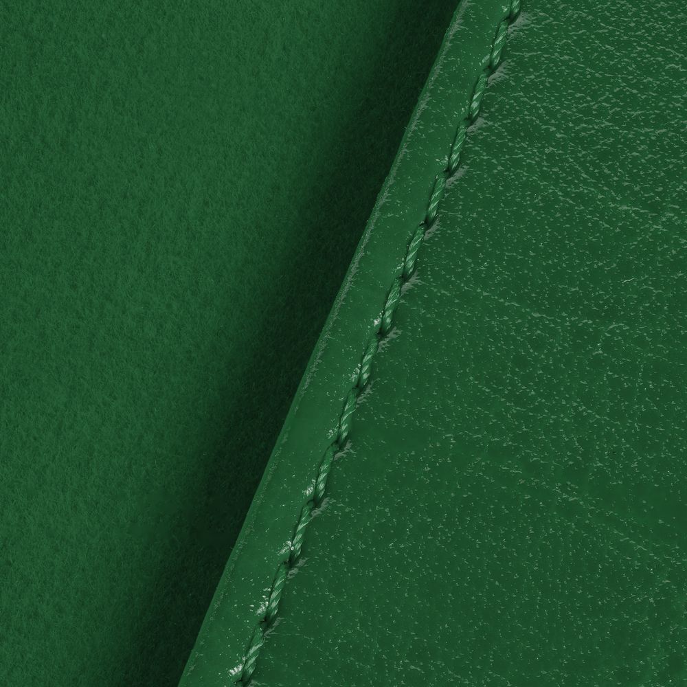 Обложка для паспорта Nebraska, зеленая-2