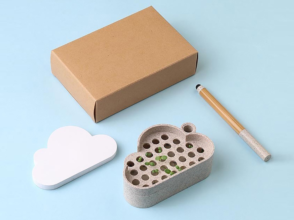 Набор для записей с семенами ромашки Patio-4