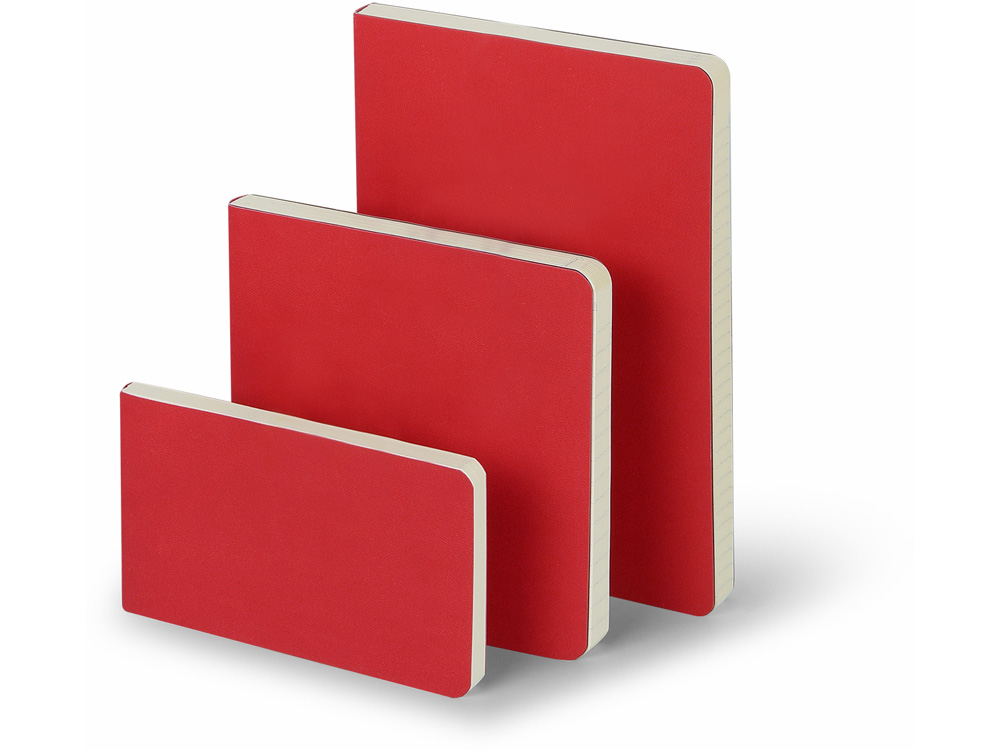 Ежедневник недатированный B5 Megapolis Flex (красный)-5