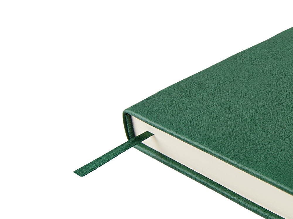 Ежедневник недатированный А5 Status, зеленый-5