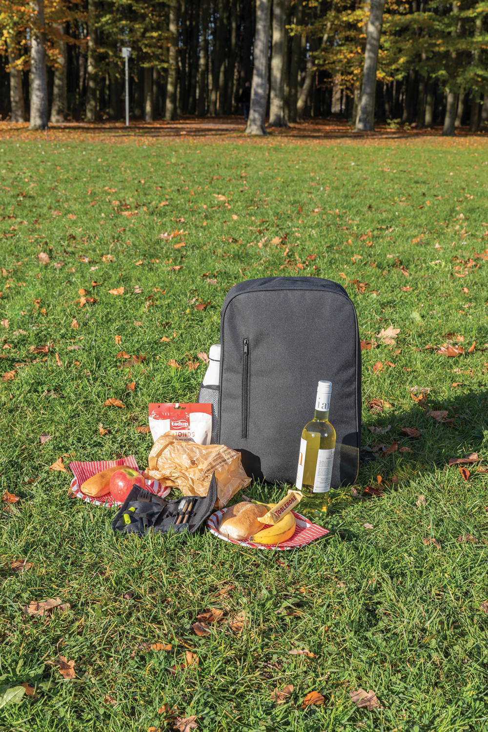 Набор столовых приборов в чехле Tierra-4