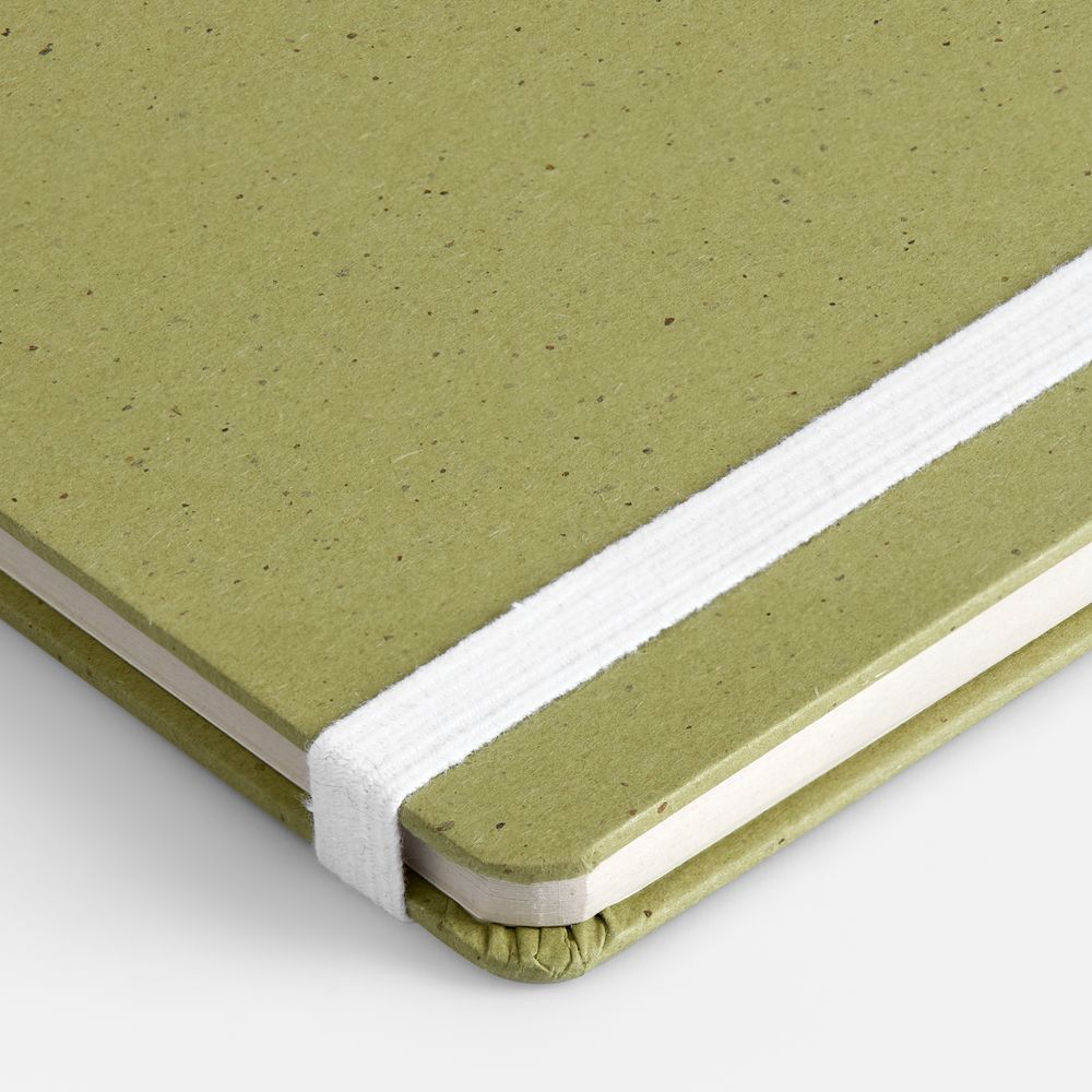 Блокнот Lactonica, зеленый-2