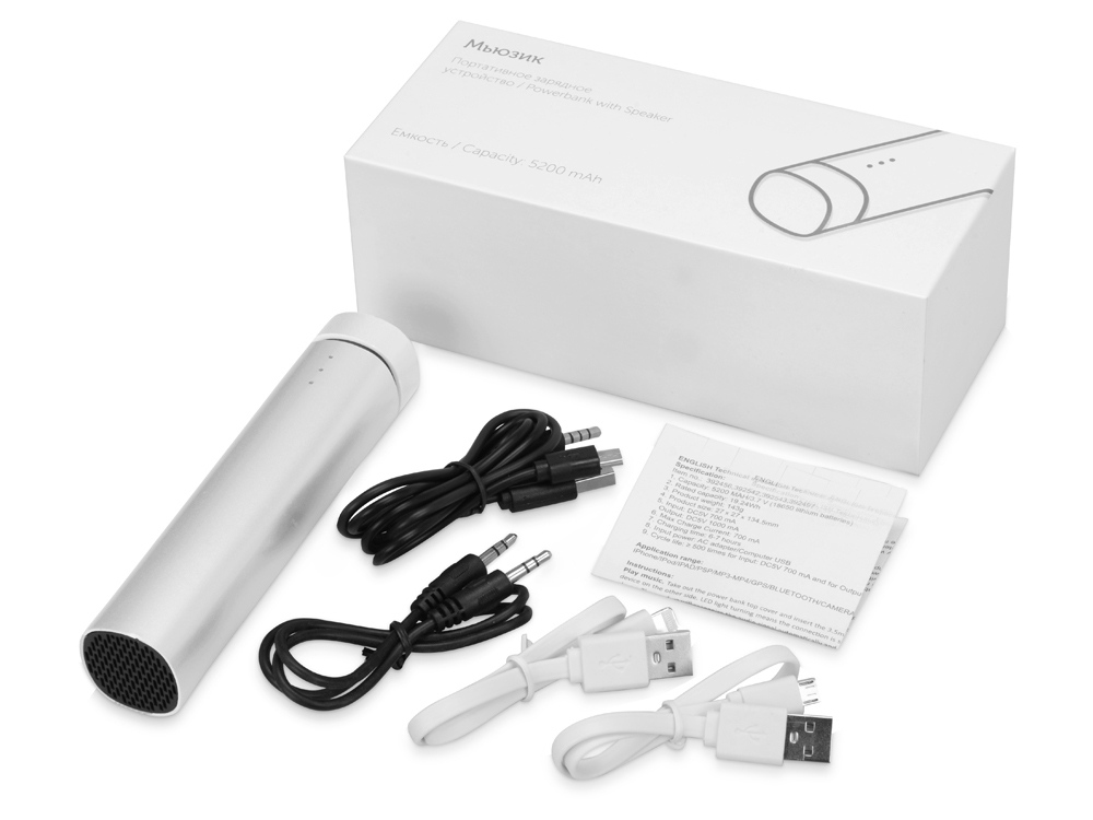 Портативное зарядное устройство Мьюзик, 5200 mAh, серебристый-9