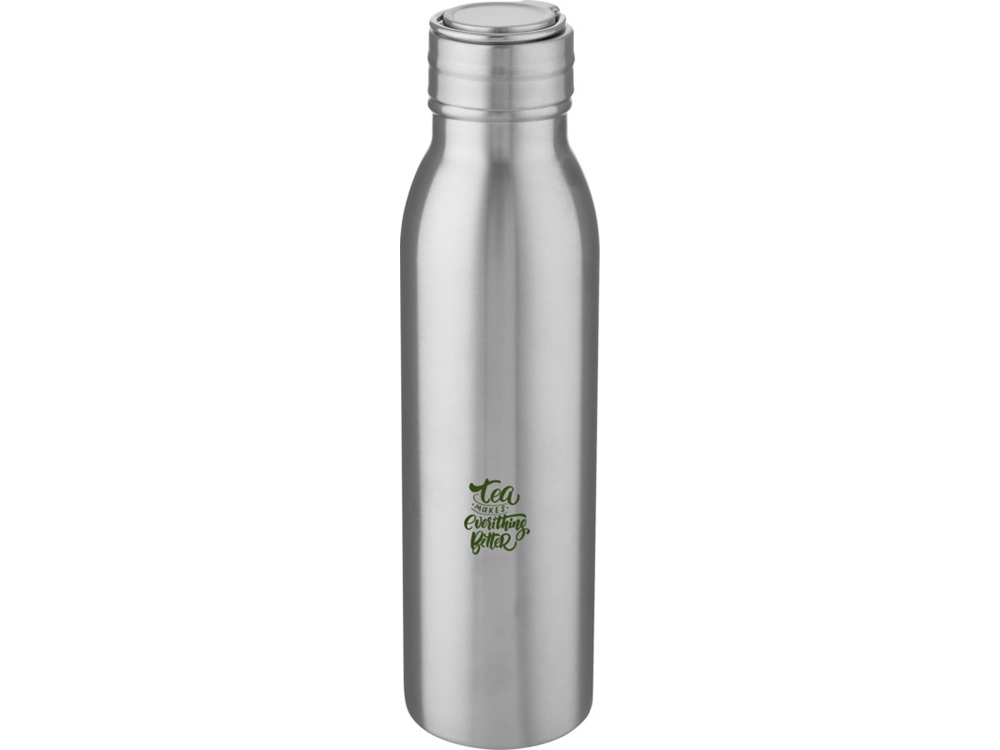 Бутылка для воды Harper из нержавеющей стали, с металлической петлей, 700 мл - Серебристый-6