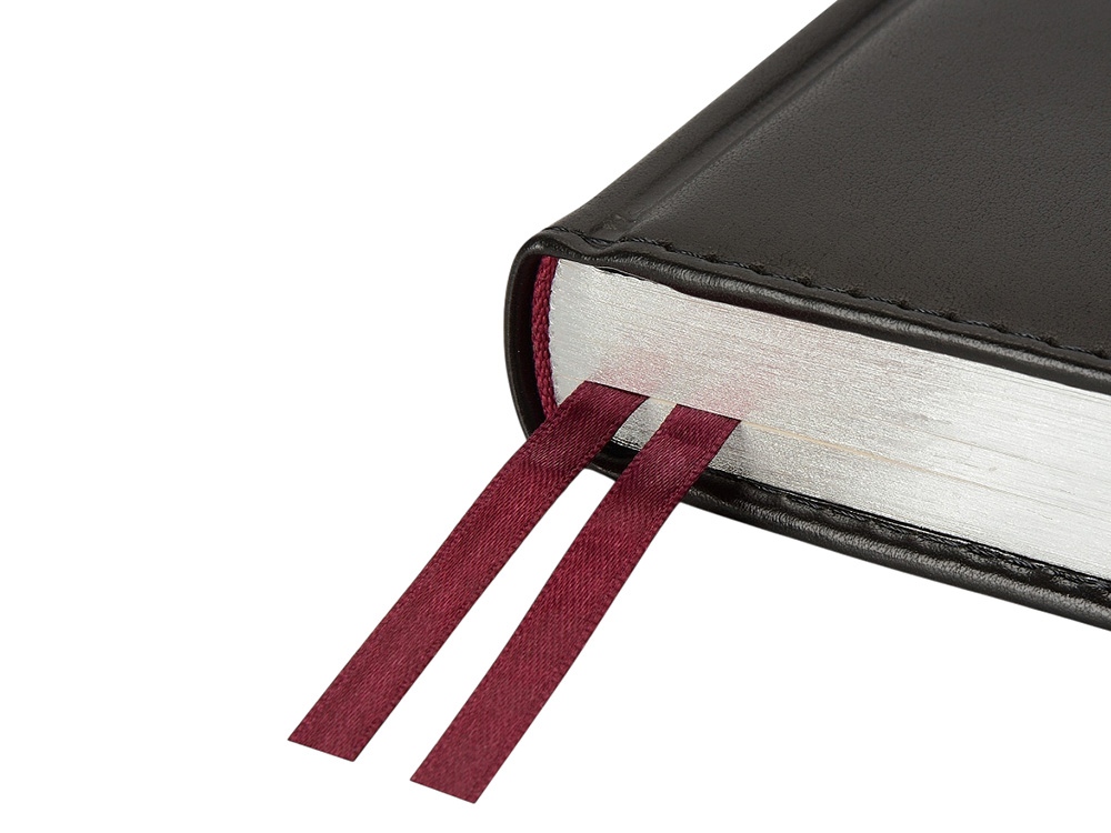 Ежедневник недатированный А5 Parliament, черный-3