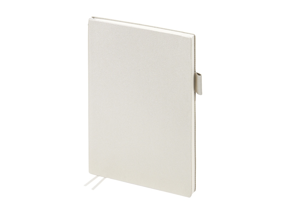 Ежедневник недатированный А5 Grand, серебро-2