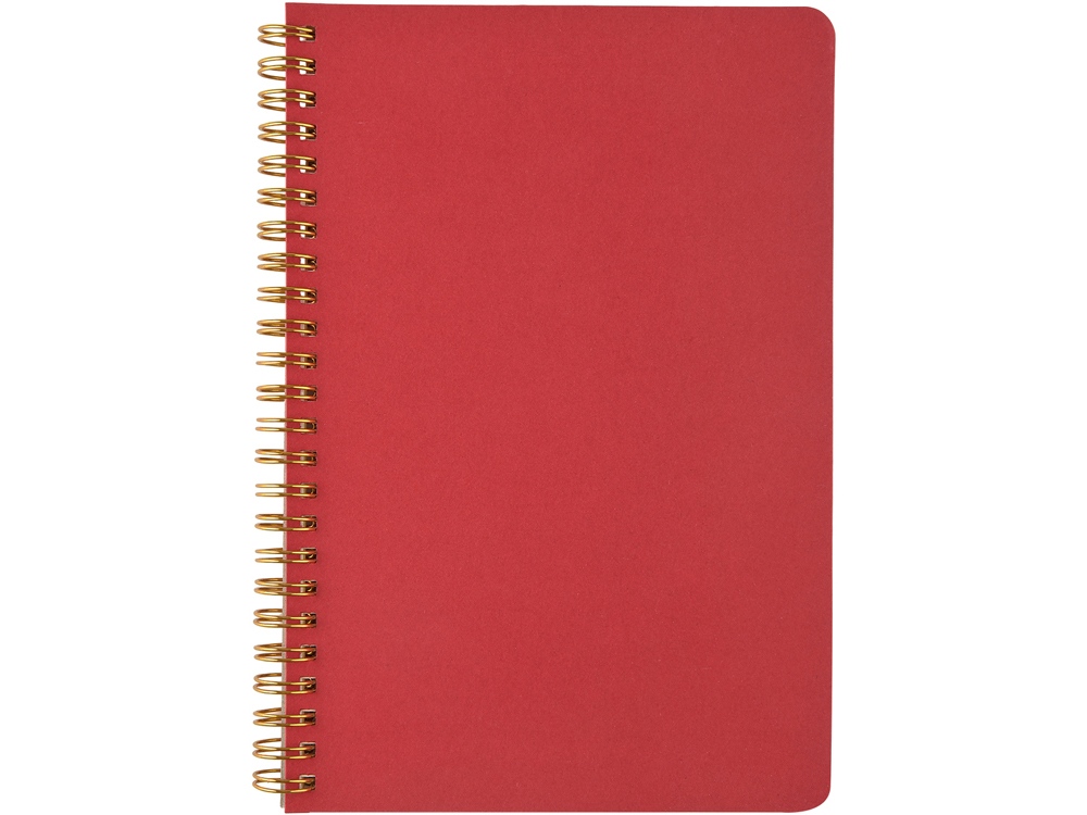 Бизнес тетрадь на гребне А5 Pragmatic, 60 листов в клетку, красный-1