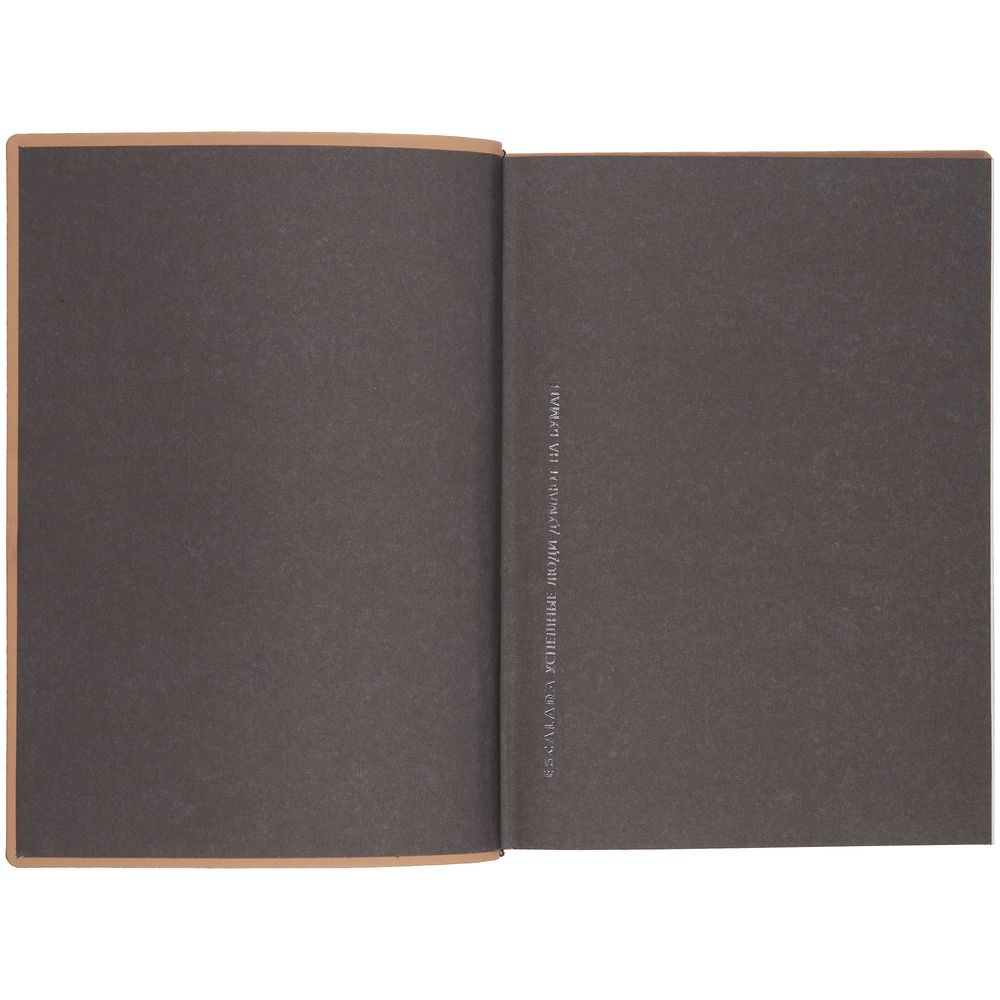 Ежедневник Anaconda, недатированный, серебристый-3