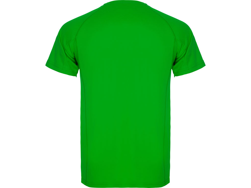 Спортивная футболка Montecarlo мужская, папоротниковый-1