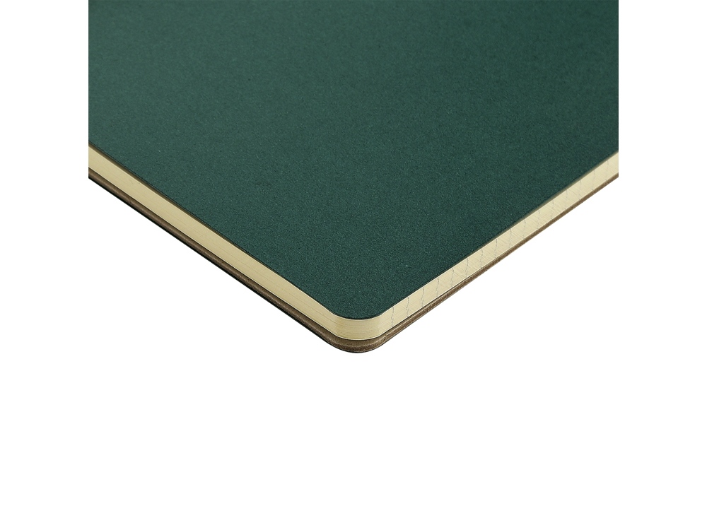 Бизнес тетрадь на гребне А5 Pragmatic, 60 листов в клетку, зеленый-3