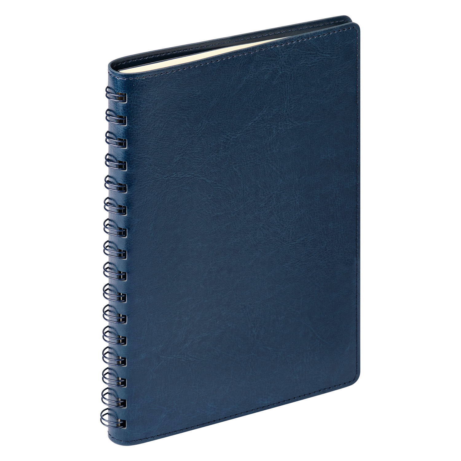 Ежедневник Vista Neo недатированный, синий-4