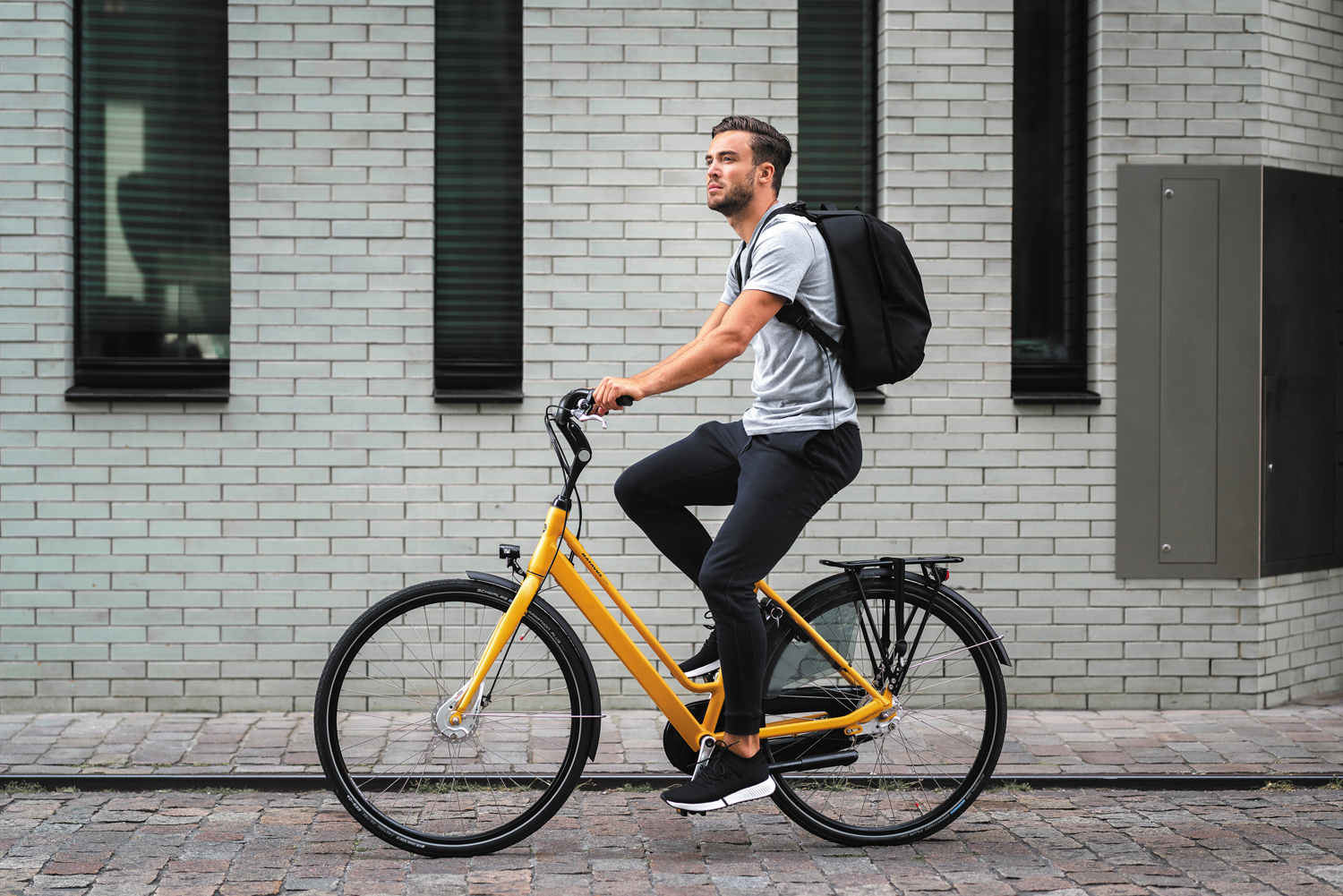 Сумка-рюкзак Flex-25