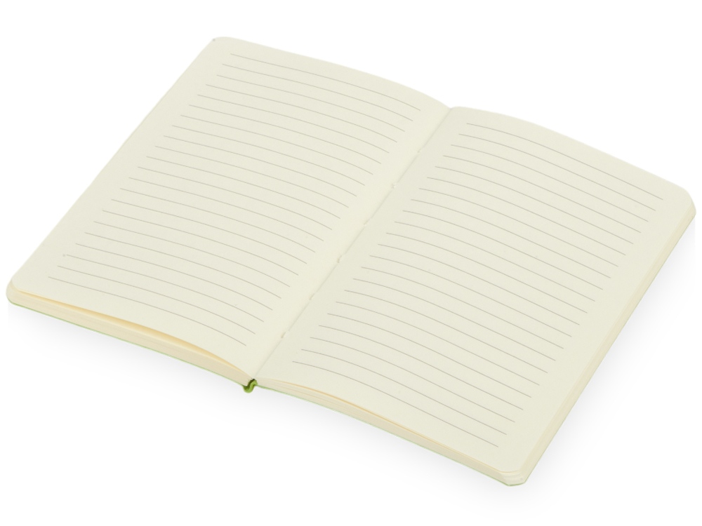 Блокнот Softy 2.0, гибкая обложка A6, 80 листов, зеленое яблоко-1