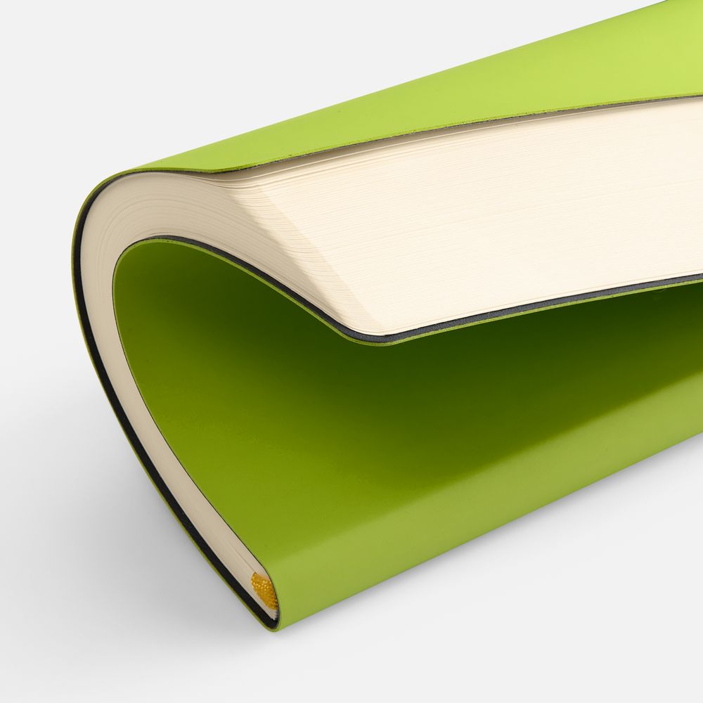 Ежедневник Flex Shall New, недатированный, светло-зеленый-3