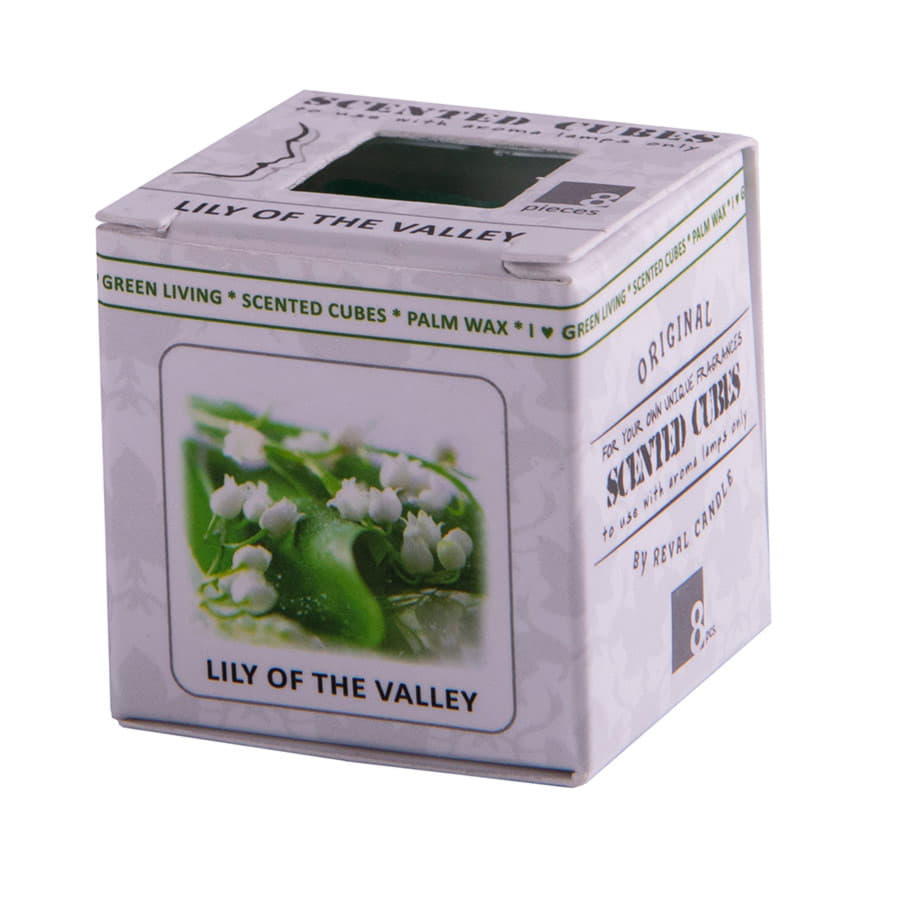 Аромакубики ЛАНДЫШ (8шт), мятный-1