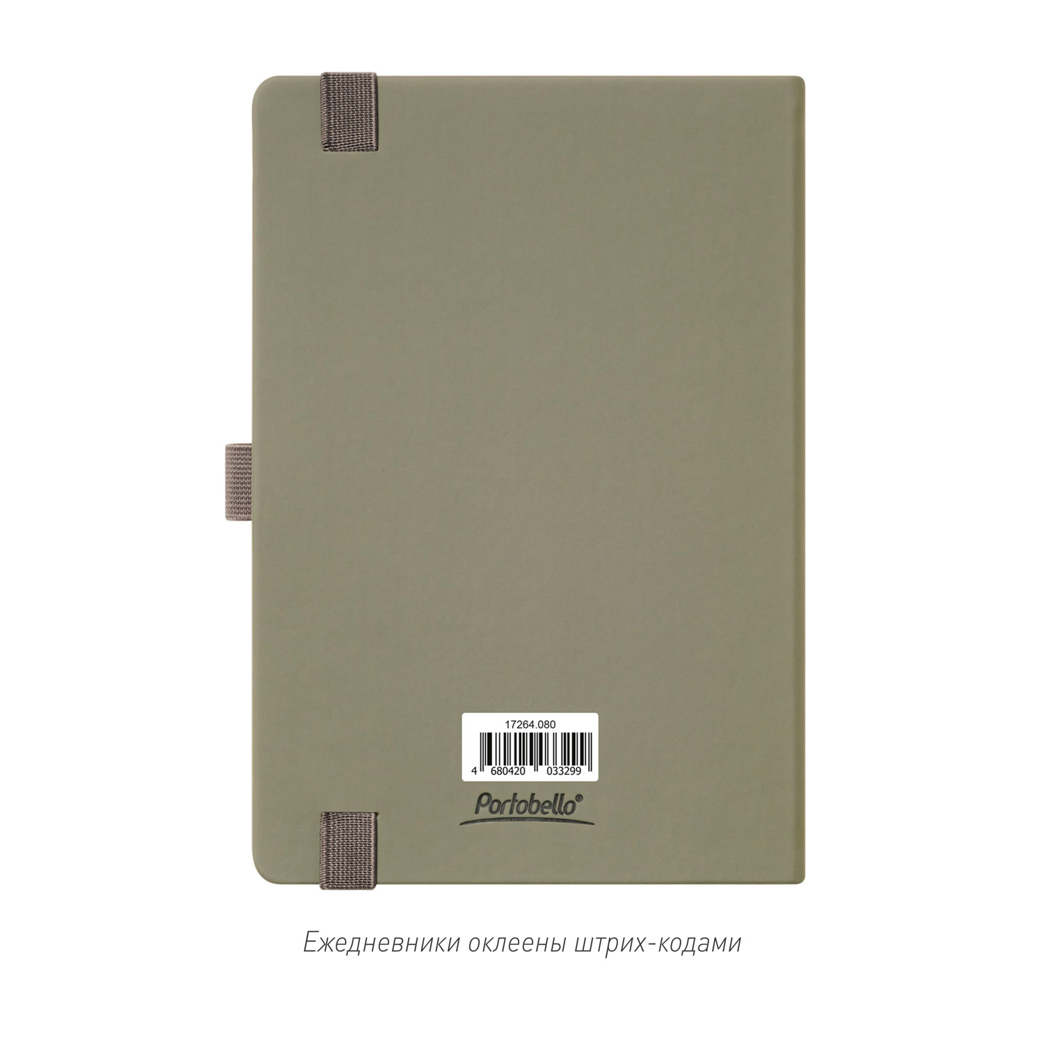 Ежедневник Alpha недатированный, серый/бирюзовый-9