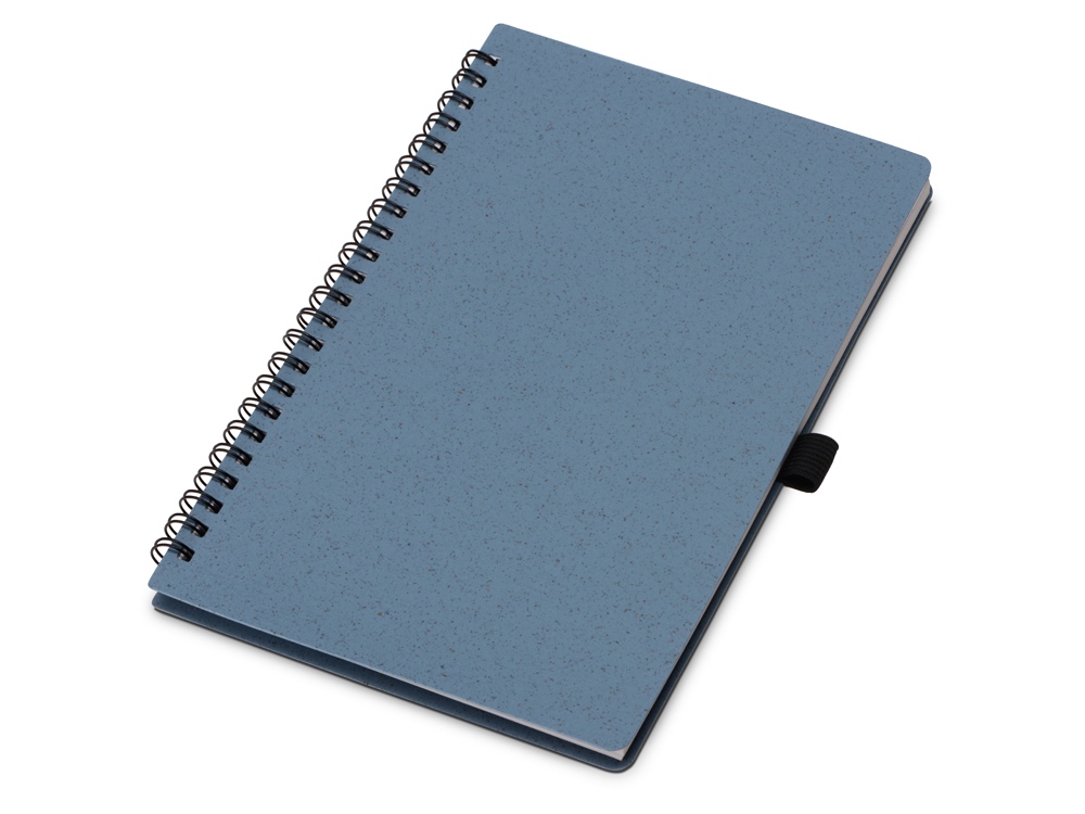 Блокнот А5 Toledo M, синий-0