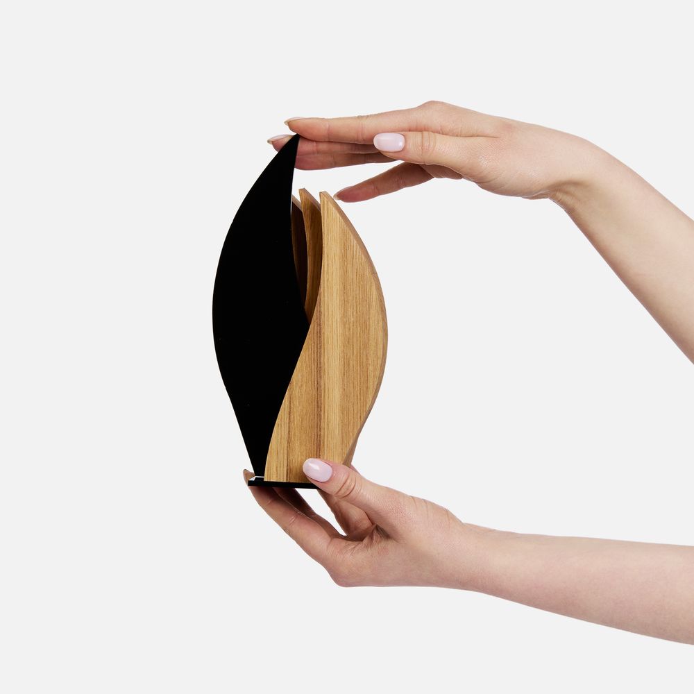 Стела Fame Flame-1