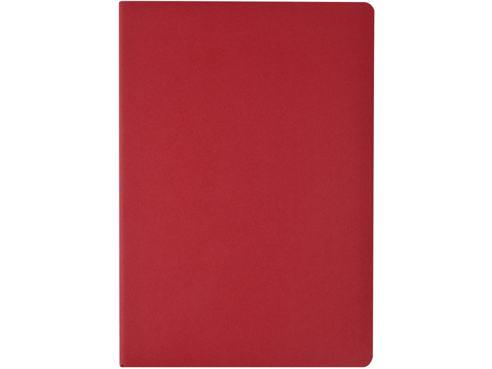 Бизнес-тетрадь А4 Pragmatic,  40л., клетка, красный-1