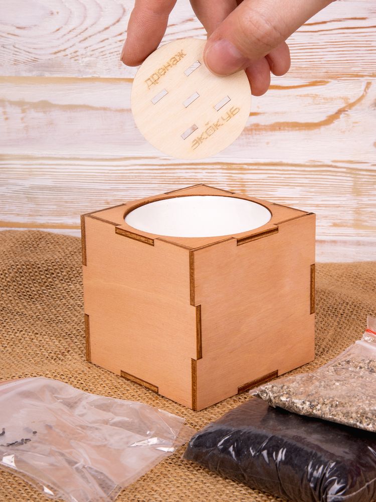 Набор для выращивания «Экокуб Lite», лаванда-4