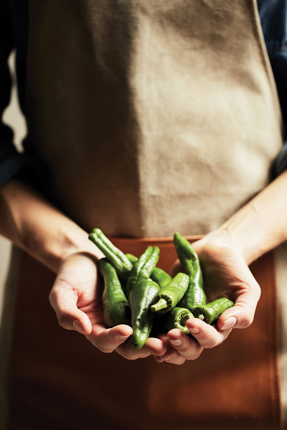 Фартук VINGA Asado-2