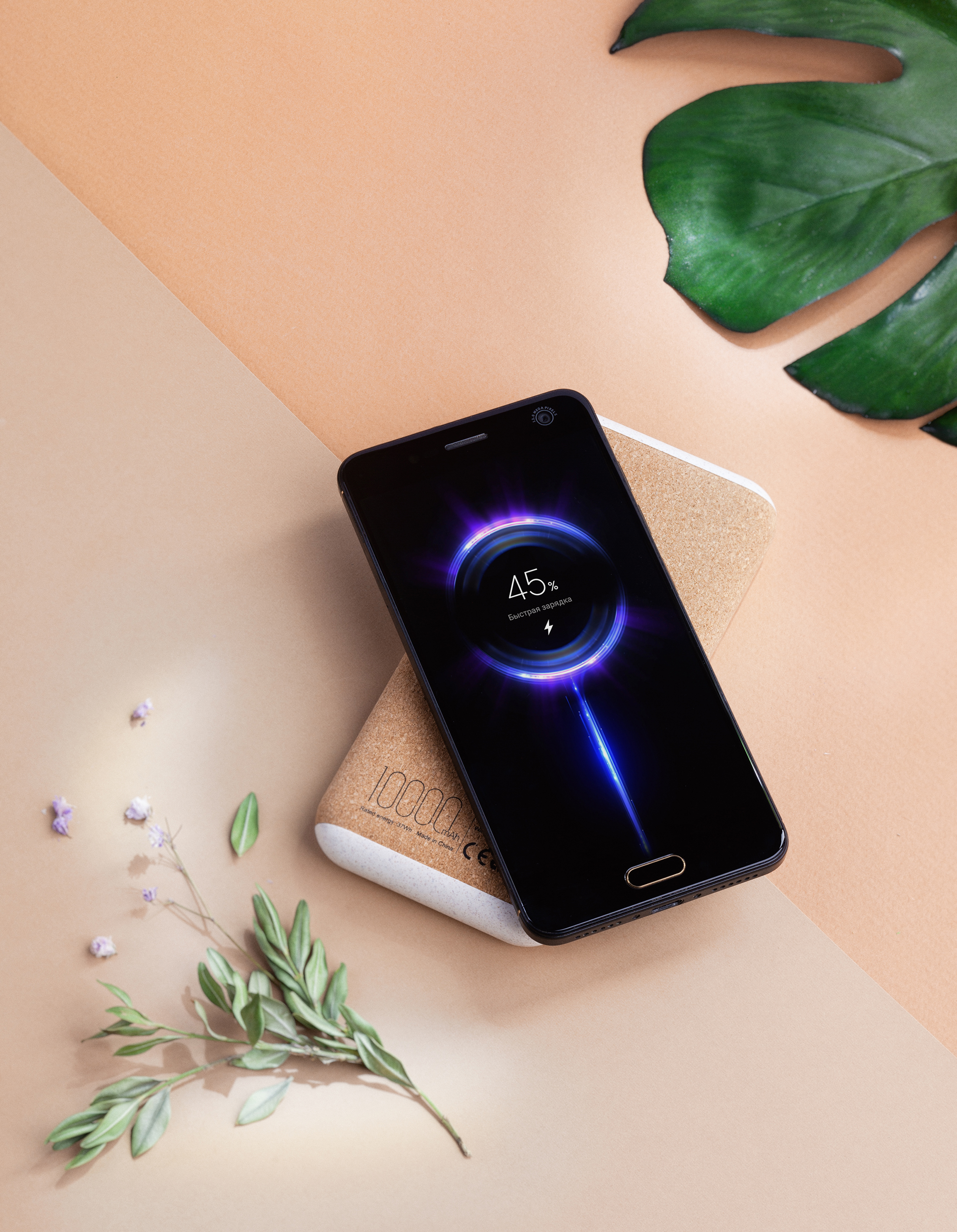 Беспроводное зарядное устройство "Cork Power" 10000 mAh, пластик/пшеничное волокно/пробка-1