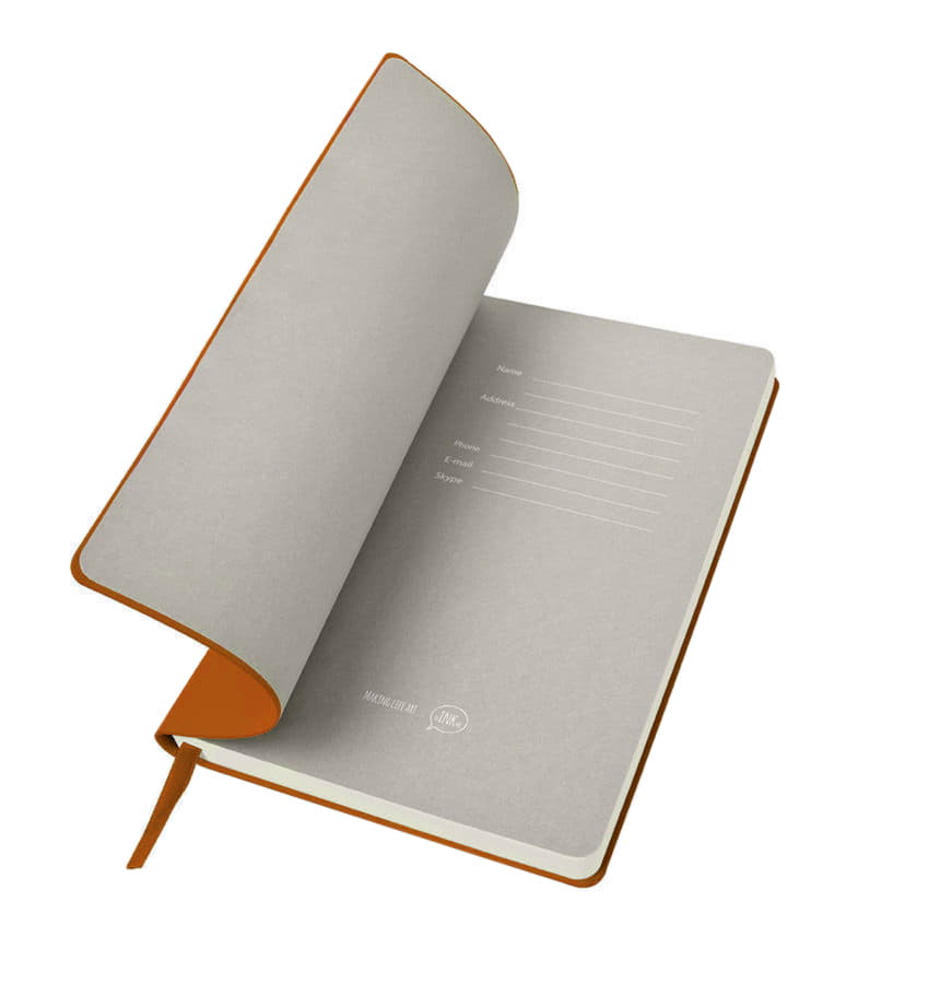 Бизнес-блокнот BIGGY, формат B5,  в клетку, оранжевый-3