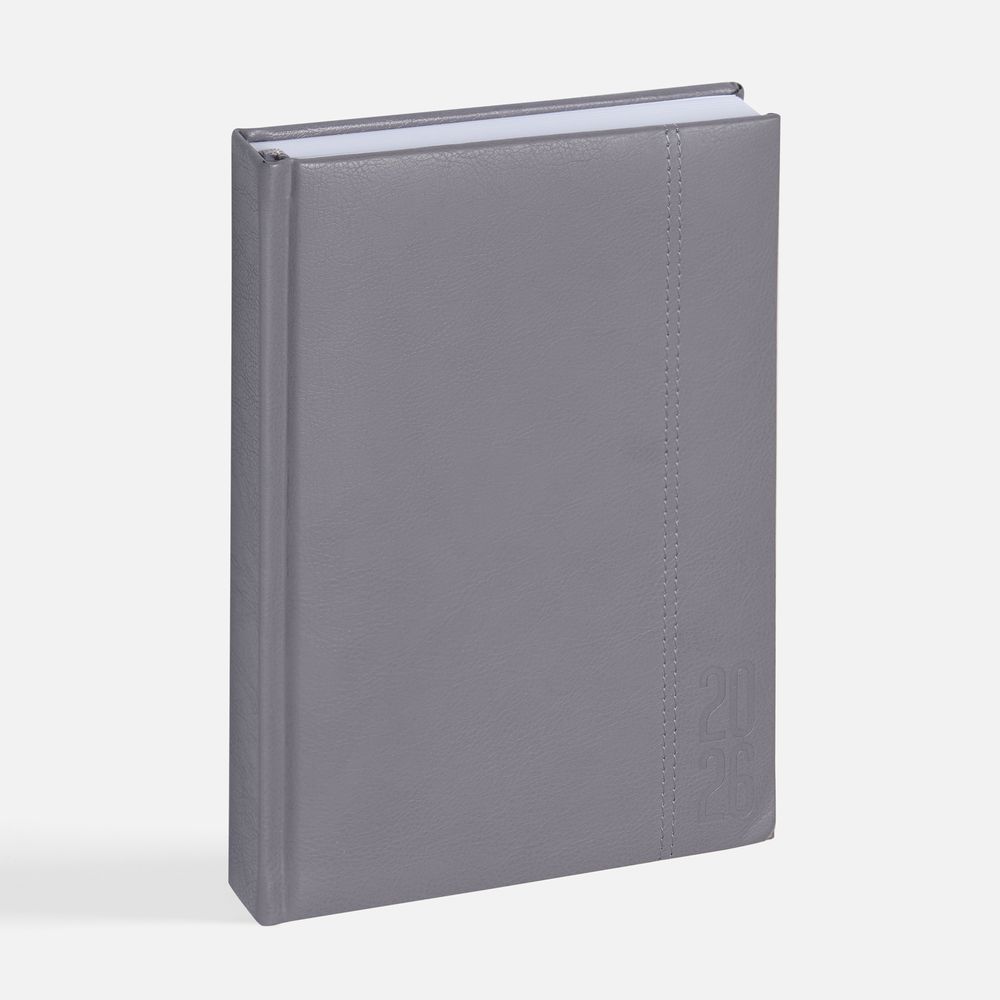 Ежедневник Baza, датированный, серый-2