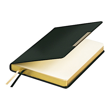 Ежедневник City Moderna Pristine А5, Зеленый/золотой-2