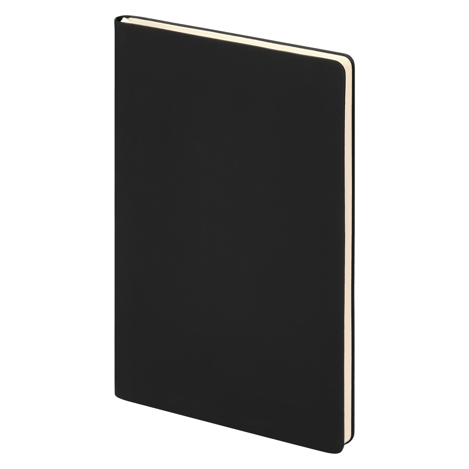 Ежедневник Спарк (Spark) недатированный, черный (без упаковки, без стикера)-1