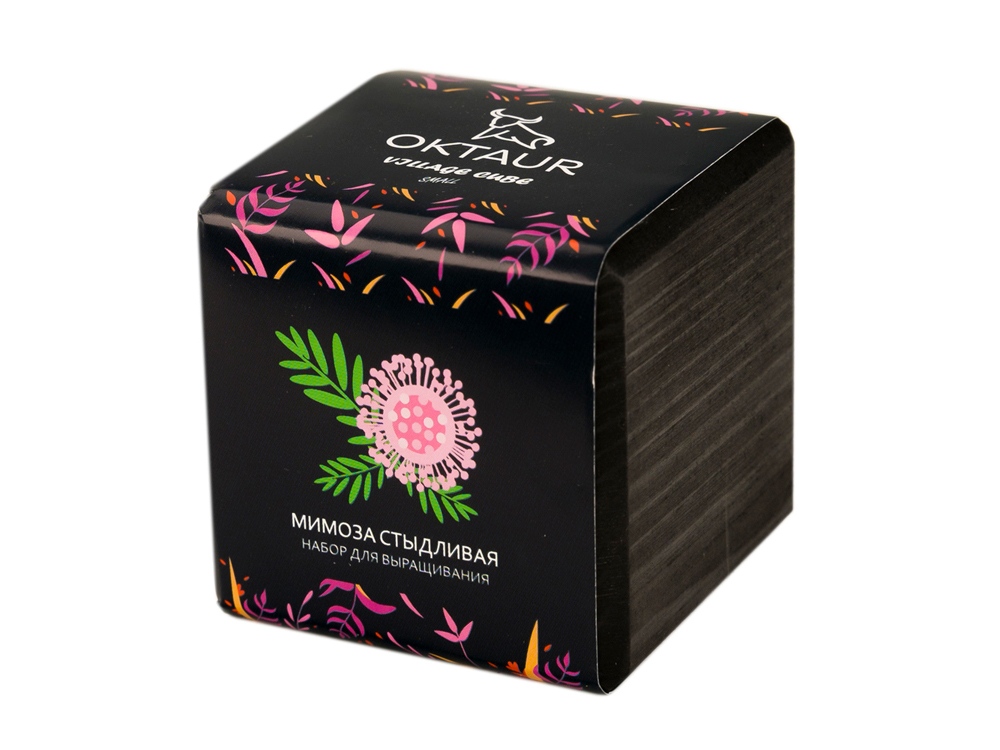 Набор для выращивания Small village cube Мимоза стыдливая-0