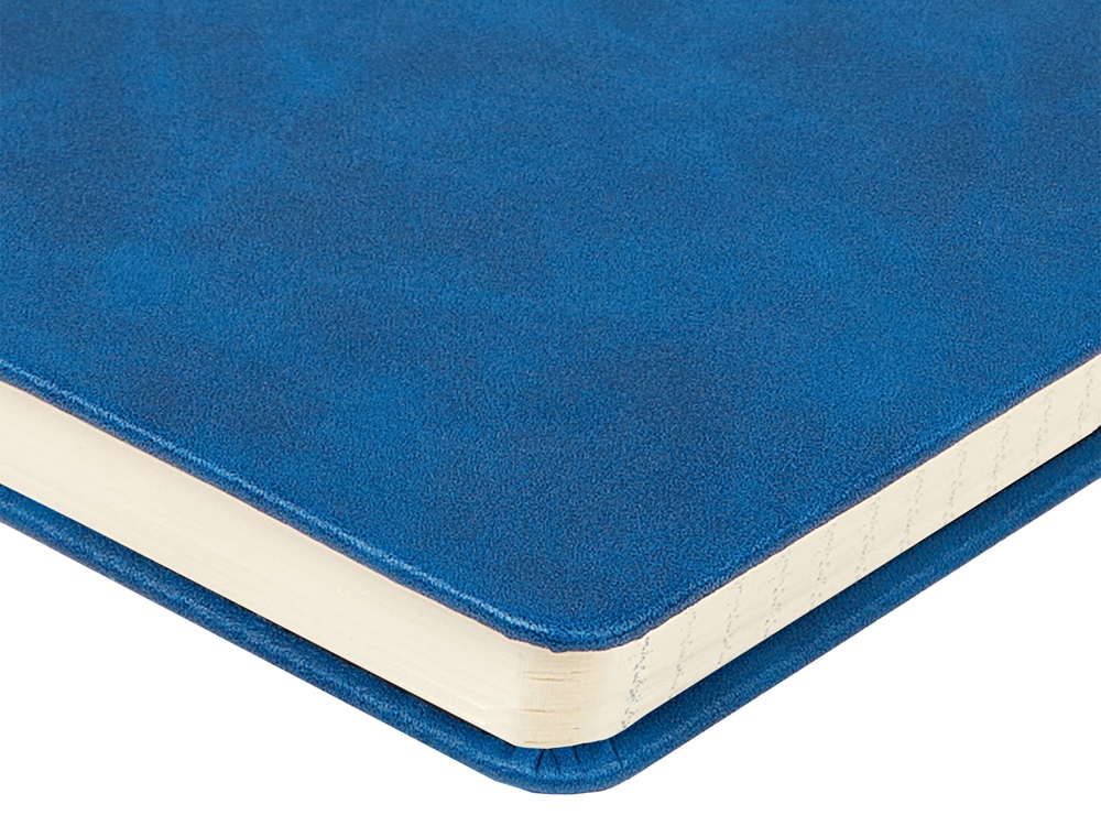 Ежедневник недатированный А5 Megapolis Classic, синий-4