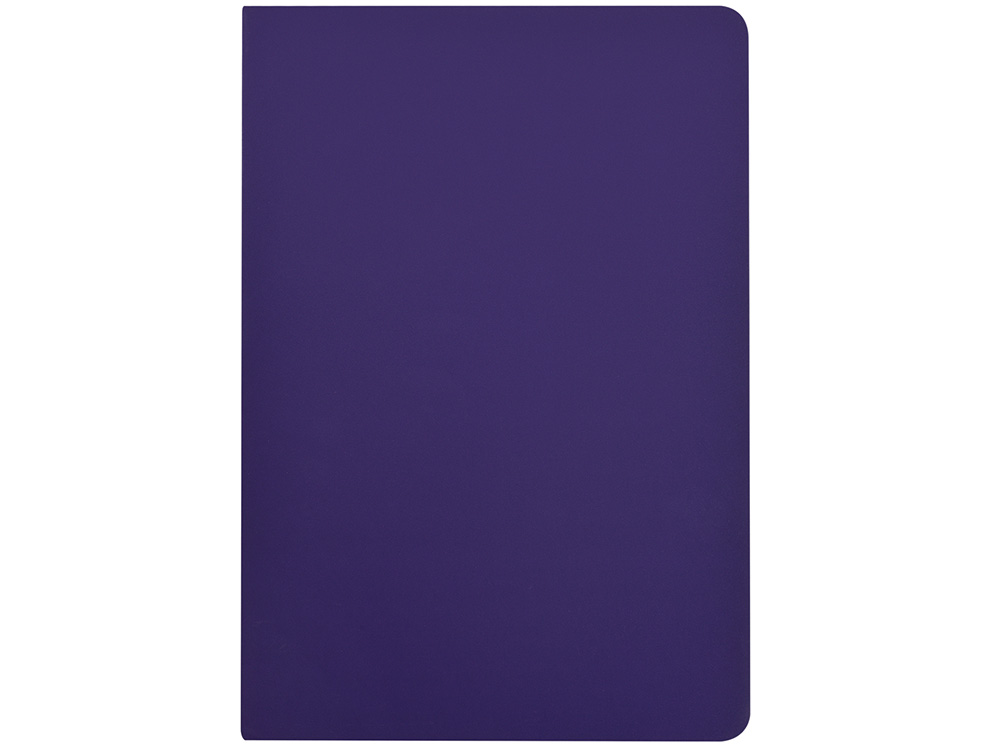 Бизнес-тетрадь А5 Pragmatic Contrast, 40 листов в клетку, фиолетовый с салатовым срезом-2