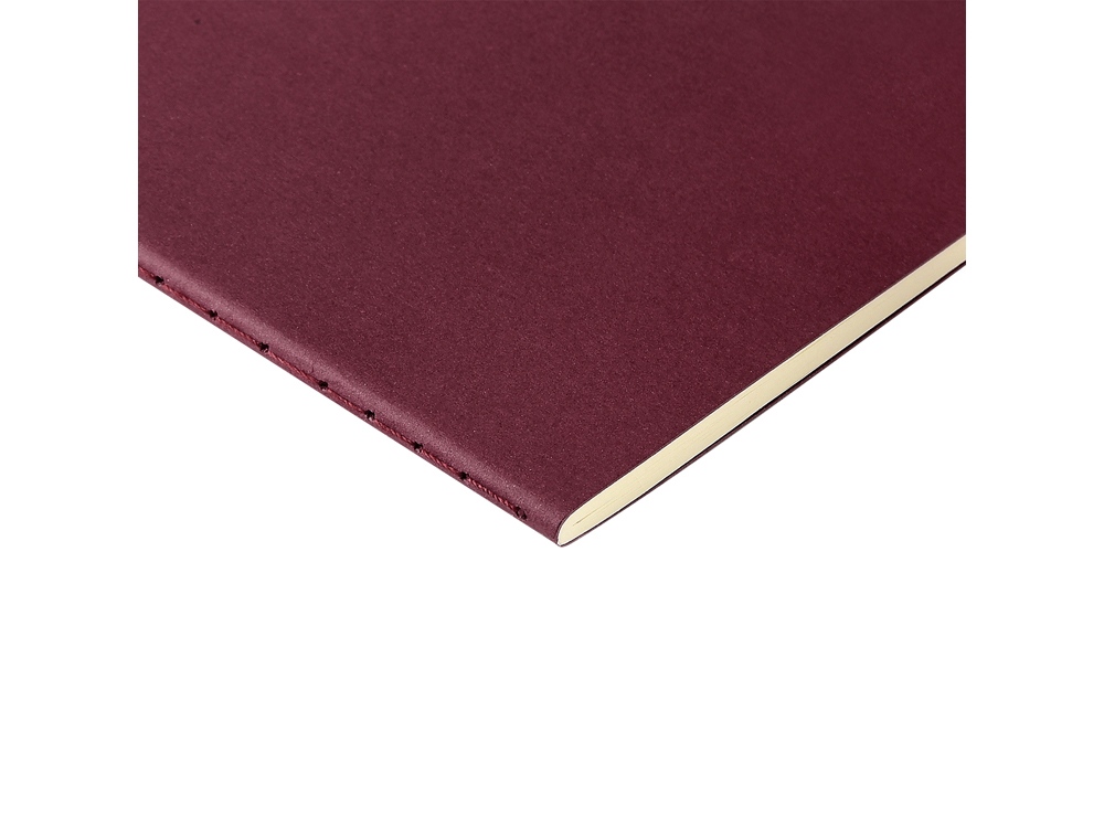 Бизнес тетрадь А5 Pragmatic, 40 листов в клетку, бордовый-2