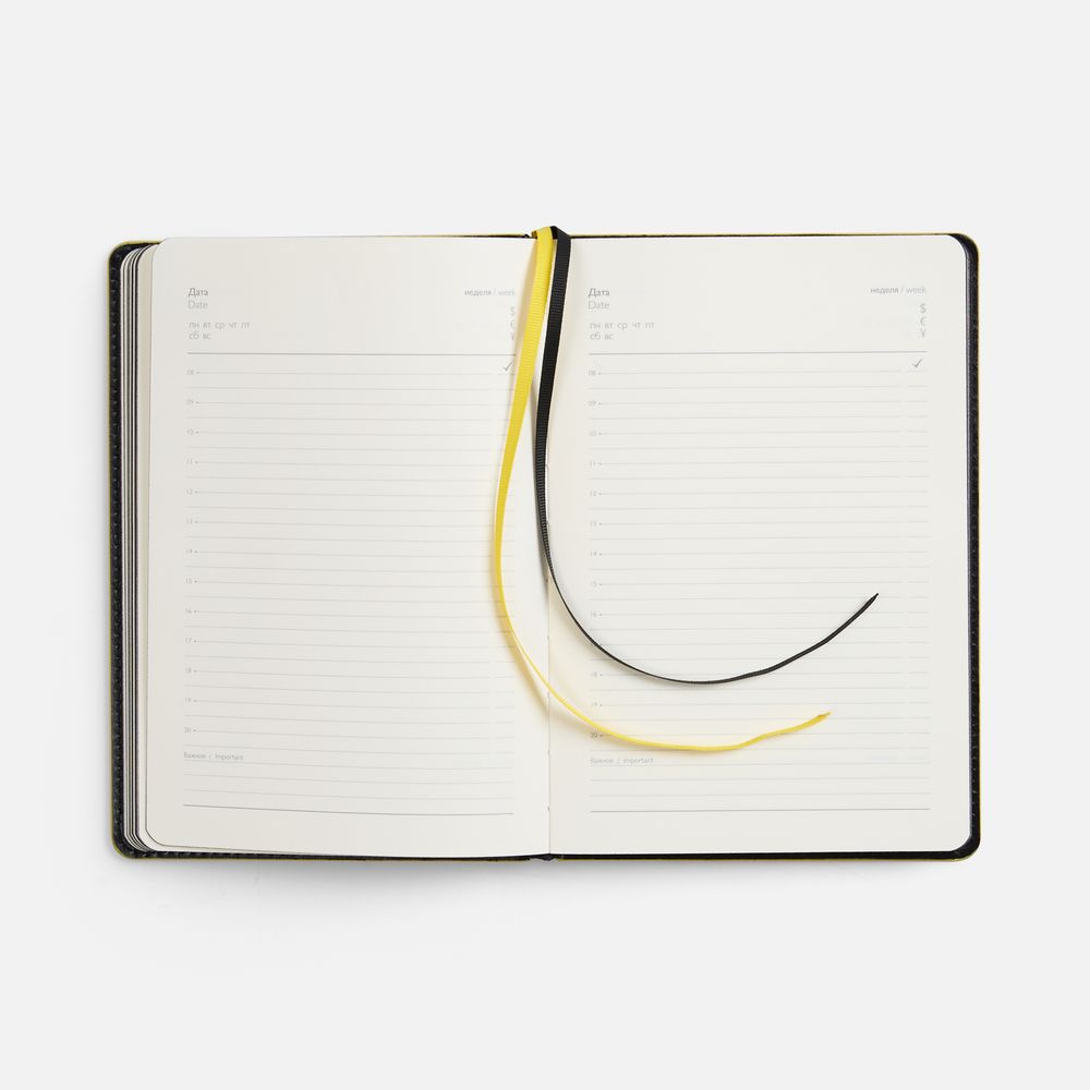 Ежедневник Alanis, недатированный, черный с желтым-5