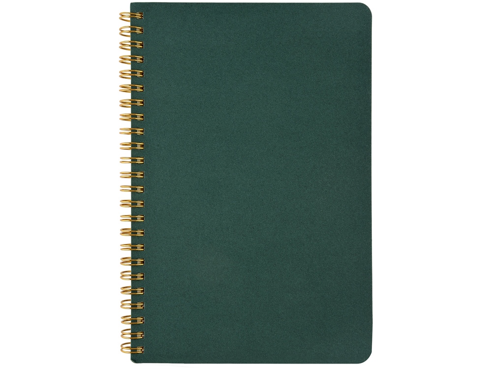 Бизнес тетрадь на гребне А5 Pragmatic, 60 листов в клетку, зеленый-1