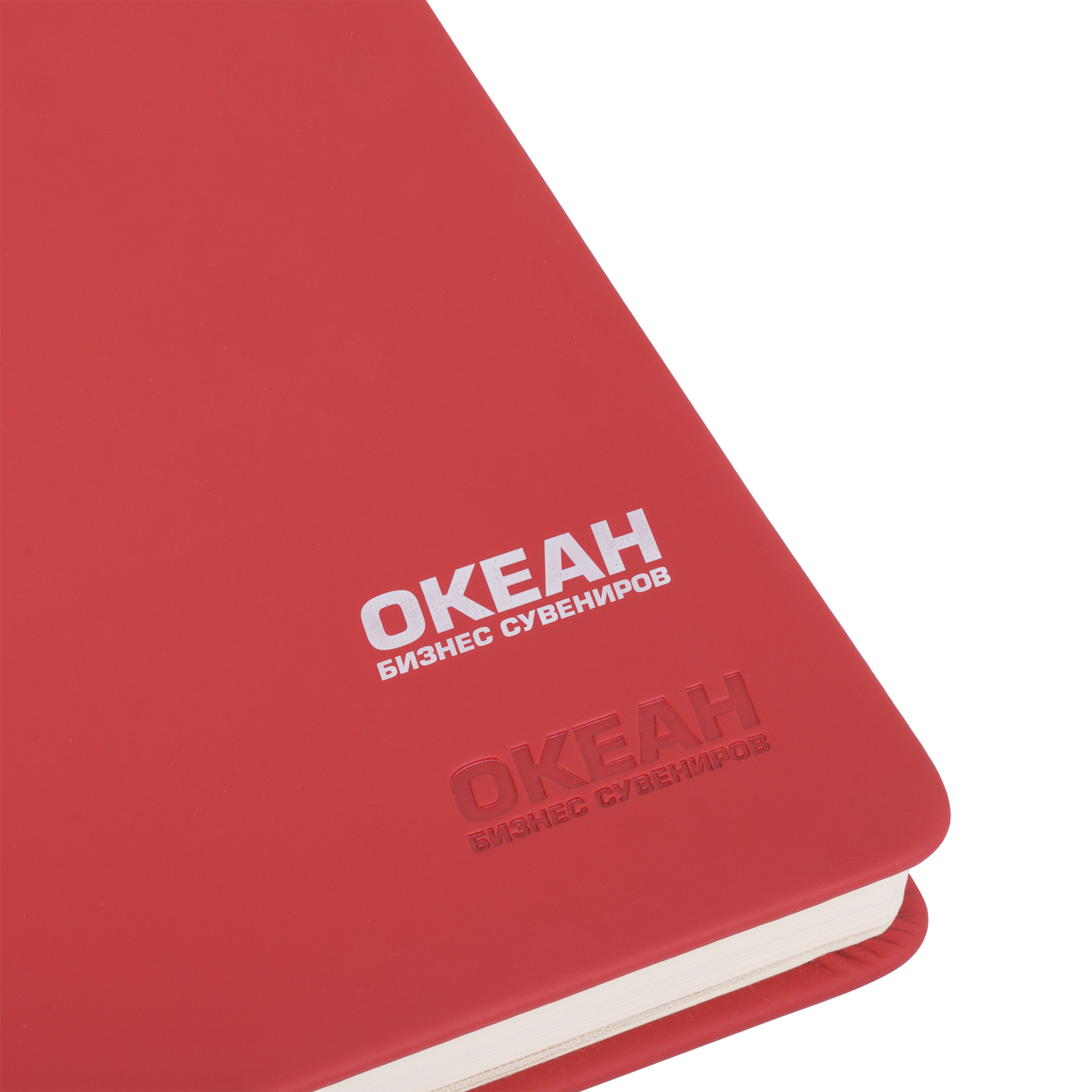 Ежедневник недатированный "Милан", А5, покрытие soft touch-5