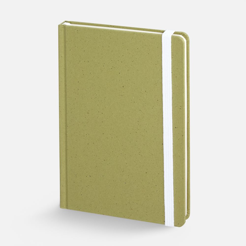 Блокнот Lactonica, зеленый-1
