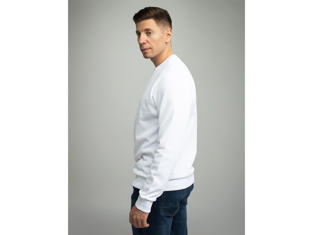 Толстовка втачной рукав. Модель 1 (Футер петлевой) (Размер 46-176, Цвет Белый)-2