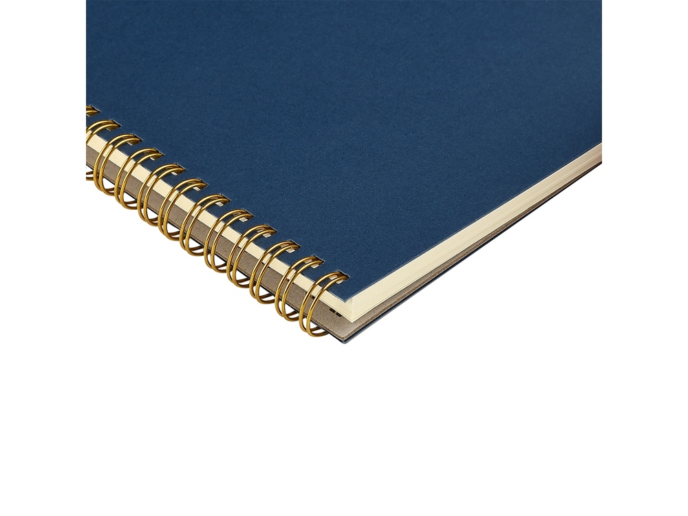 Бизнес тетрадь на гребне А5 Pragmatic, 60 листов в клетку, темно-синий-2