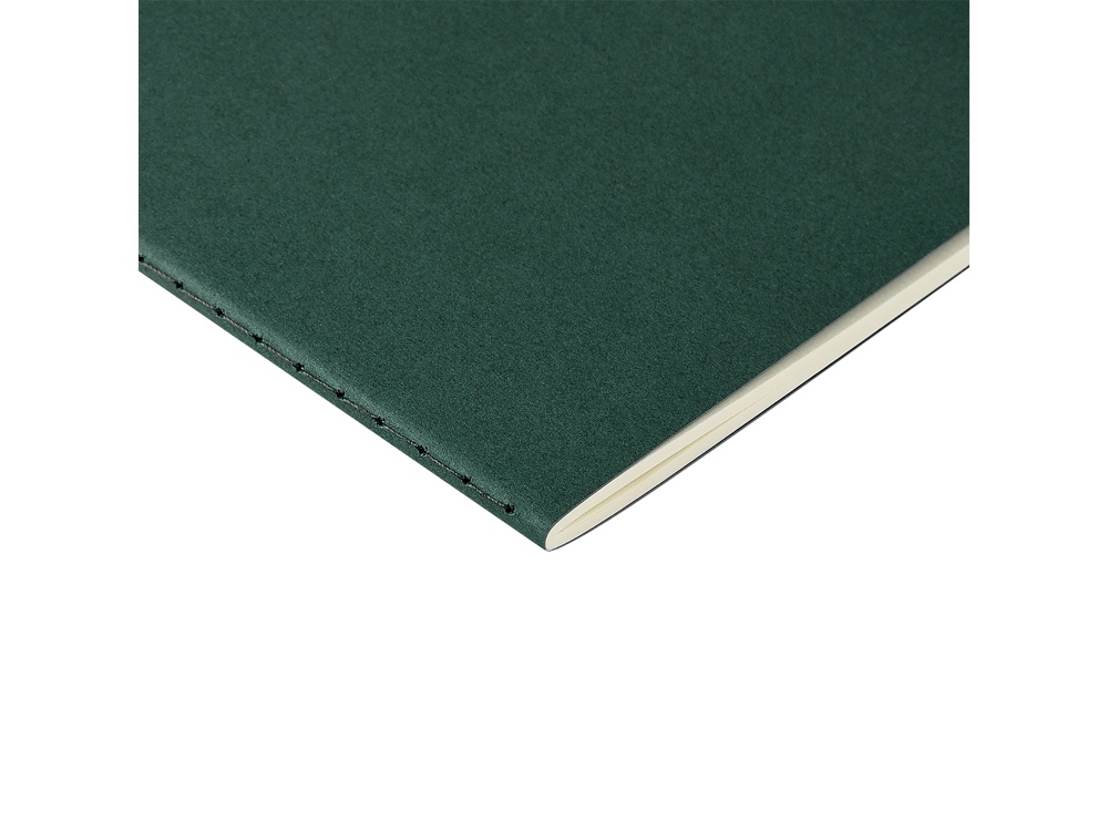 Бизнес-тетрадь А4 Pragmatic,  40л., клетка, зеленый-2