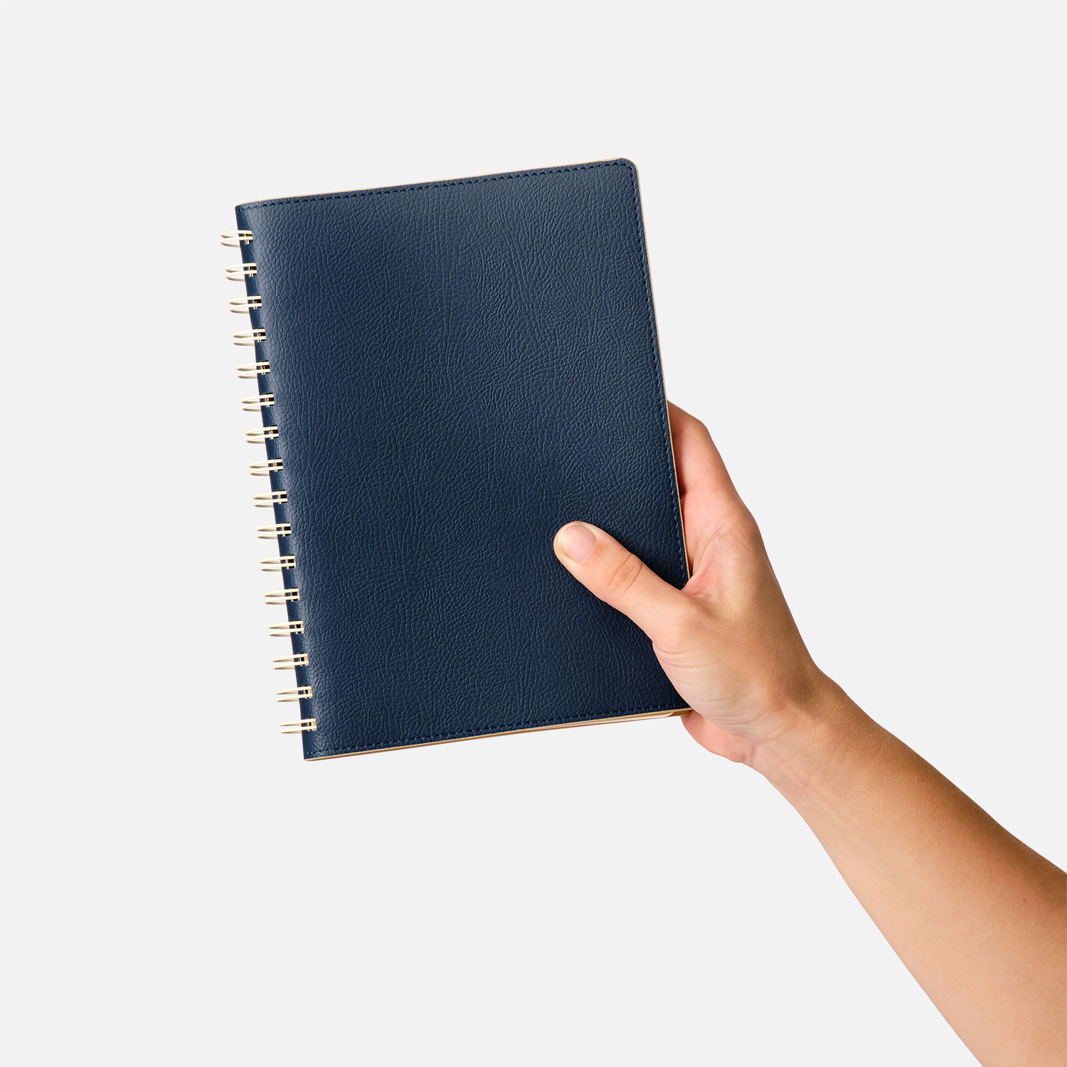 Ежедневник Vista недатированный, синий/бежевый-10