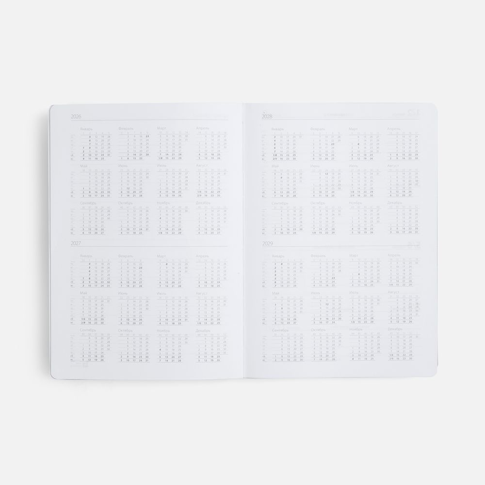 Ежедневник Must, датированный, фиолетовый-2