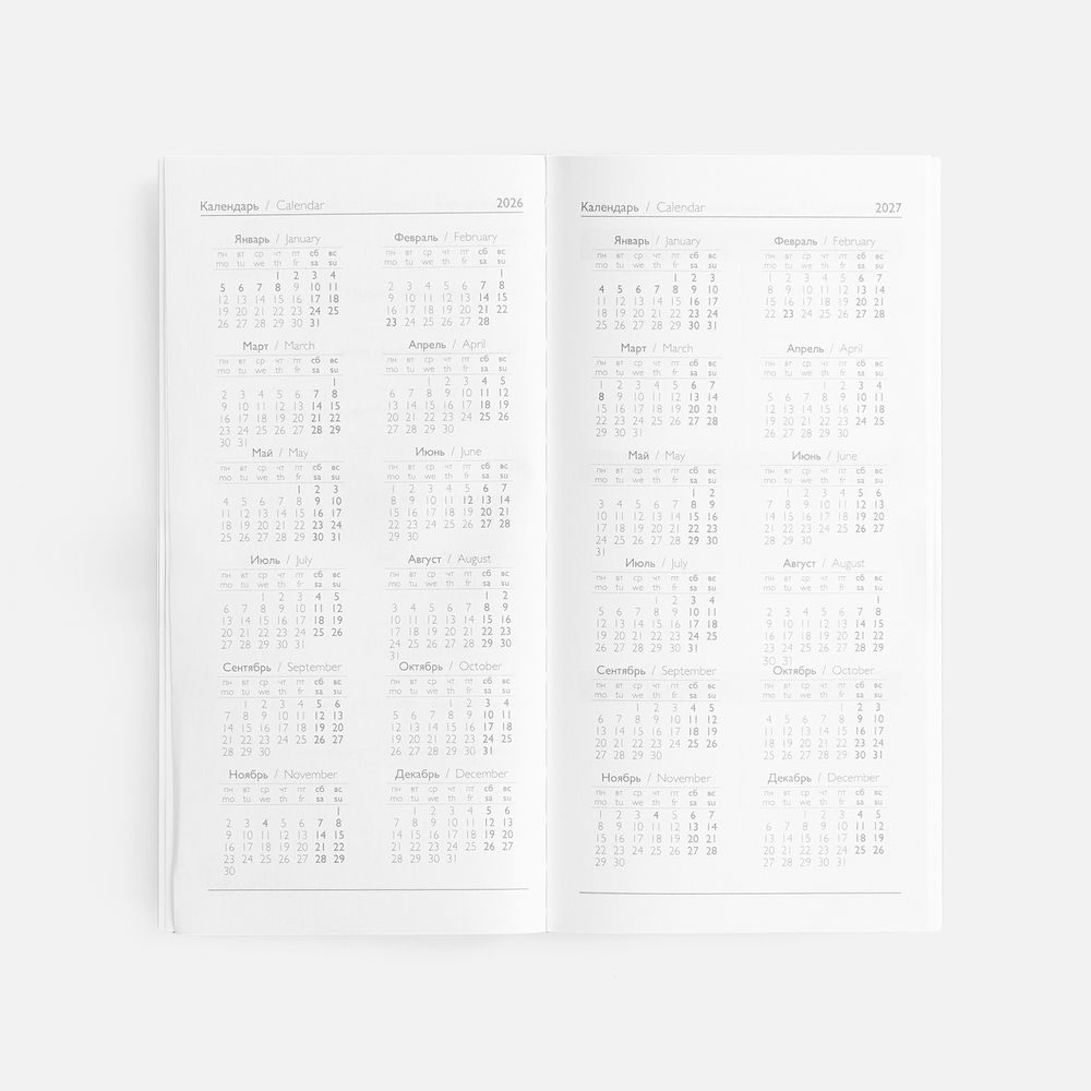 Еженедельник Baza, датированный, серый-6