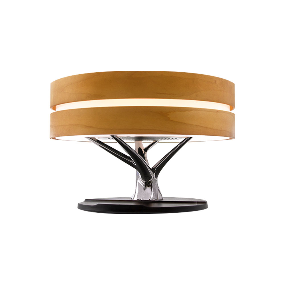 Интерьерная лампа с колонкой и беспроводной зарядкой Aronda, Коричневый-0