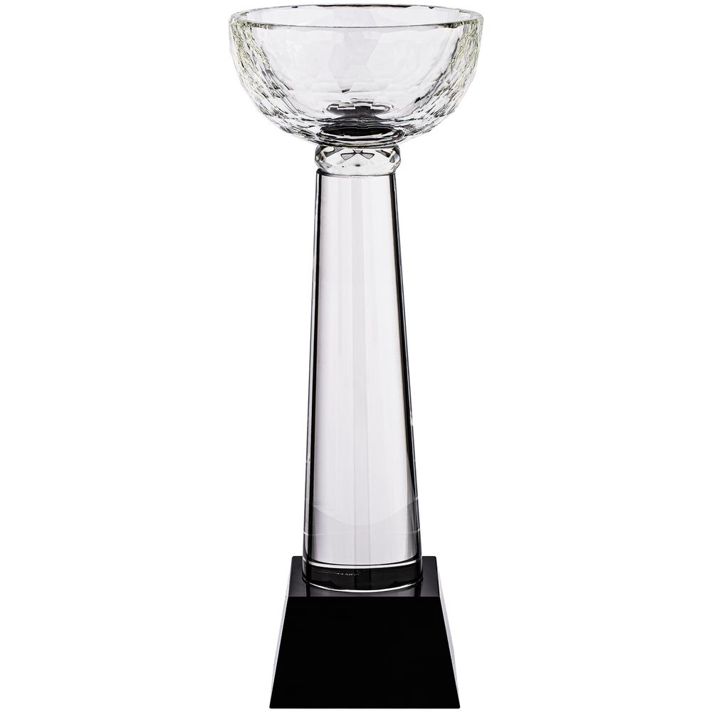 Кубок Cupture, большой-0