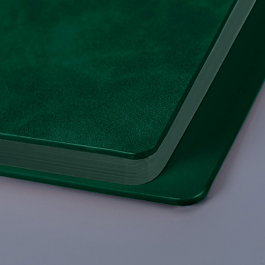 Ежедневник недатированный Solas, формат А5, с магнитом, зеленый, кремовый блок в линейку, зеленый-5